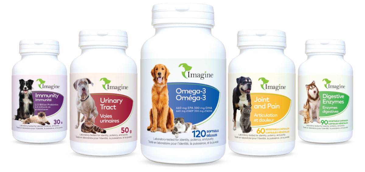 imagine pets products
